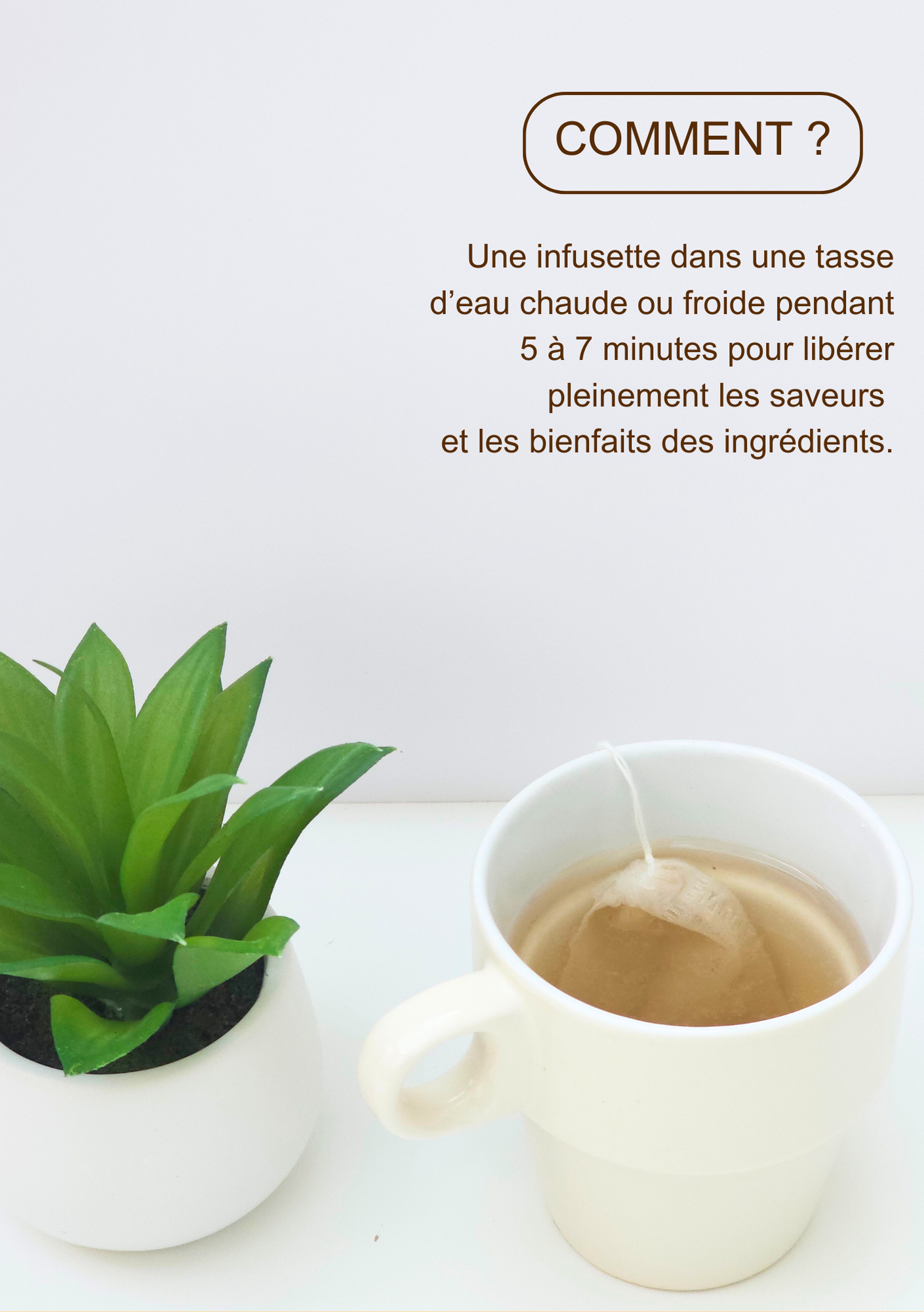 Tisane détox intime : Confort et bien être intime – Feuille de djeka et Clou de Girofle