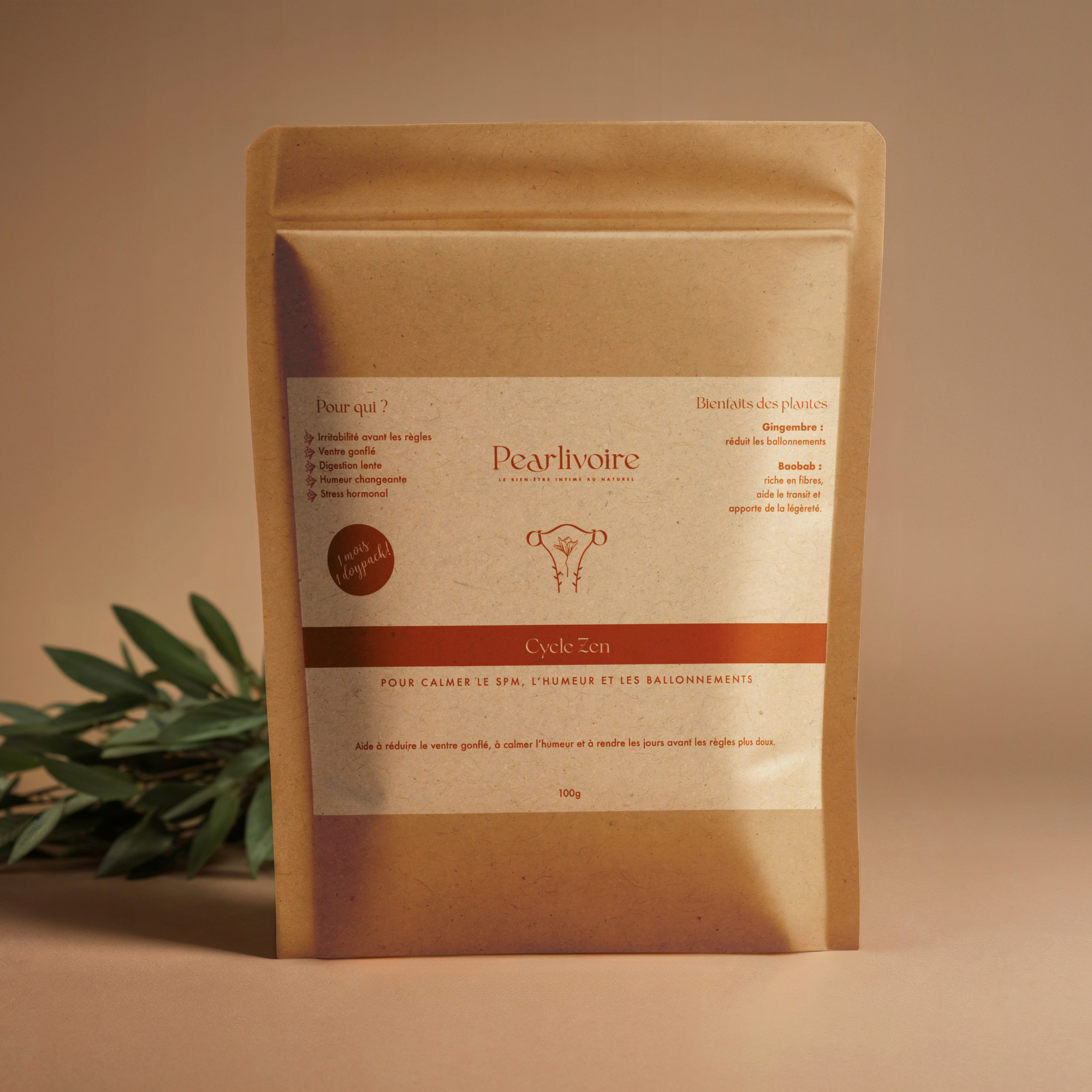 Infusion Cycle Zen : Gingembre & Baobab