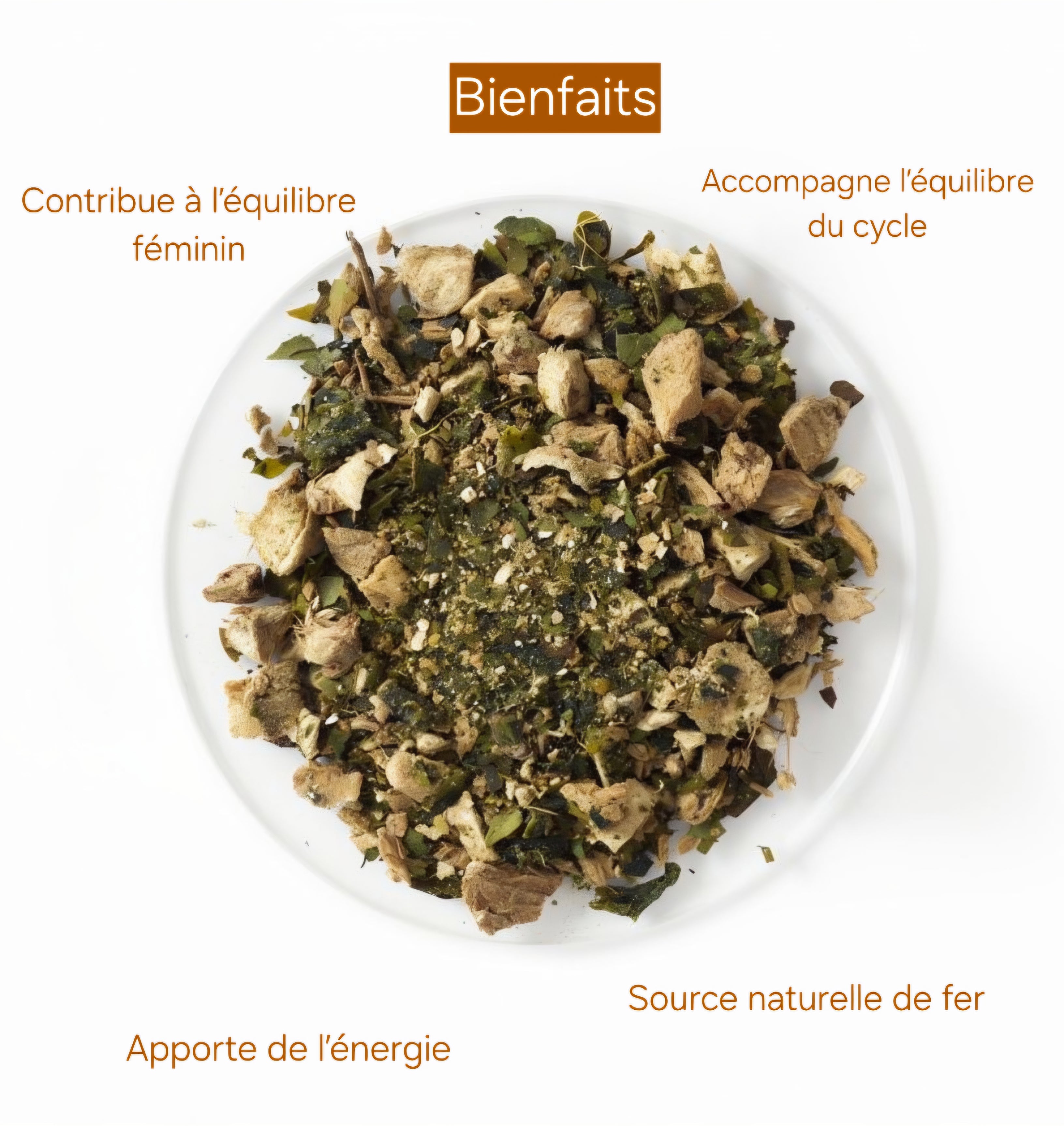 Infusion Cycle Fertile : Moringa & Gingembre