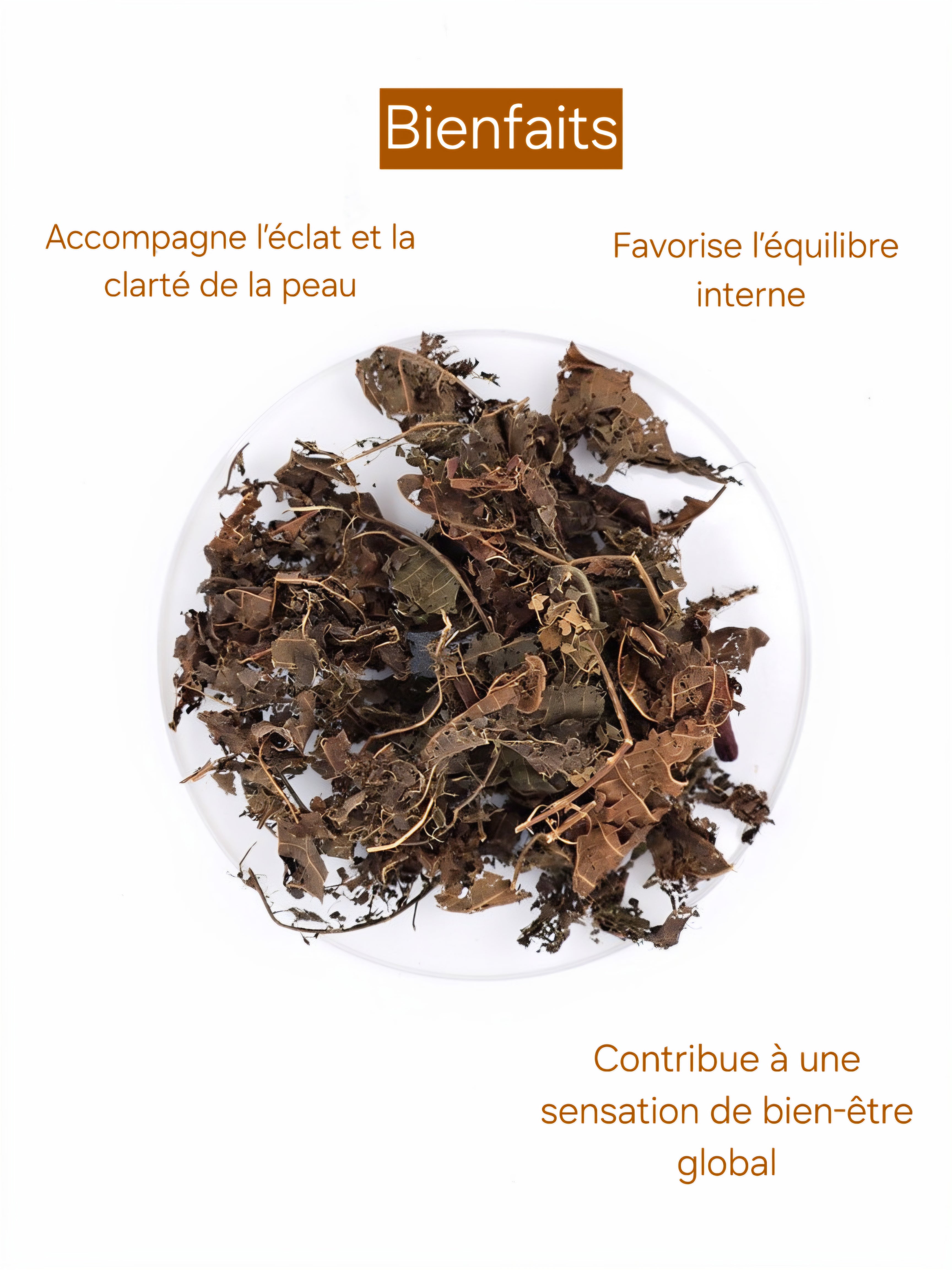 Infusion Pure Glow : Djéka & clou de girofle